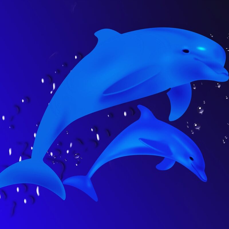 I delfini di Atlantide - Loveisallaround