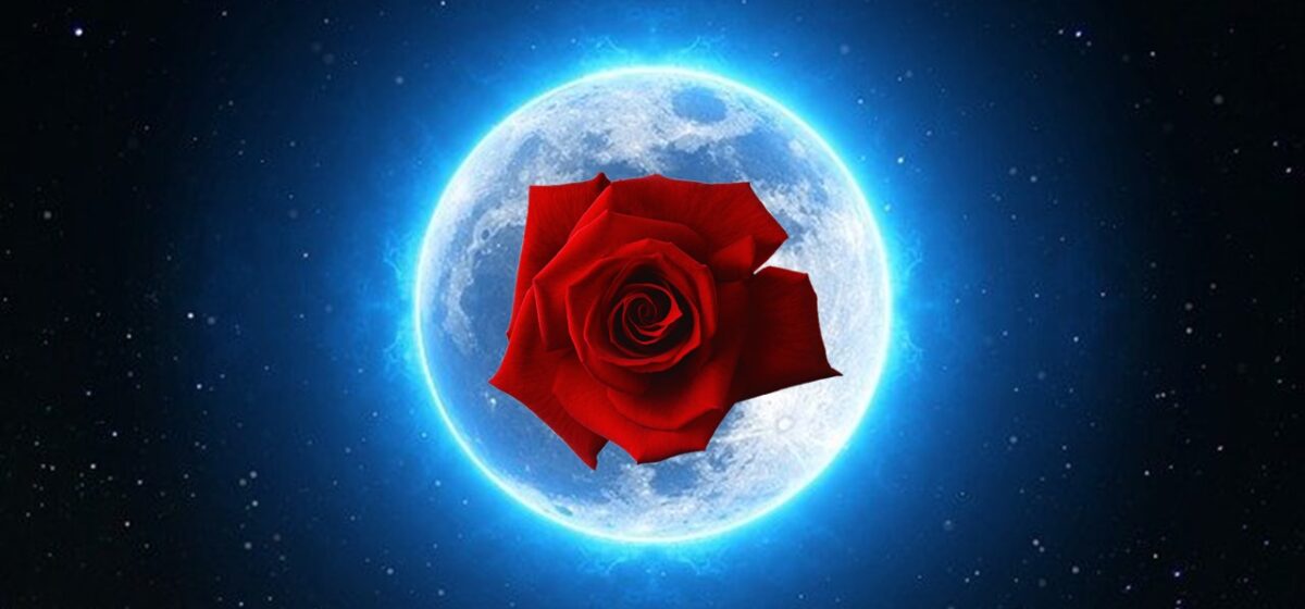 Luna della Rosa Rossa - Loveisallaround