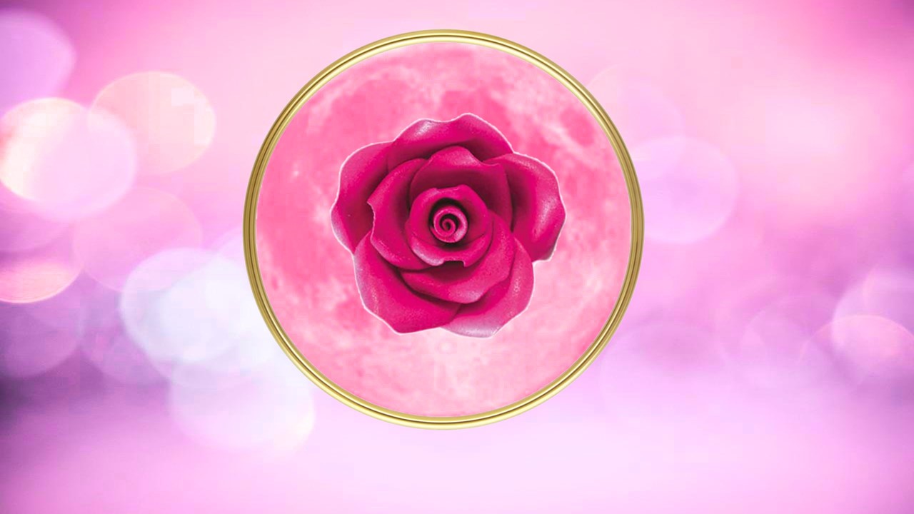 Superluna della Rosa Magenta Oro - Loveisallaround
