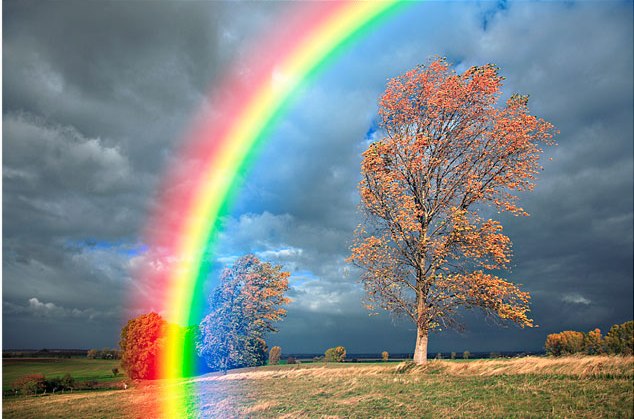 Reiki Rainbows - Loveisallaround